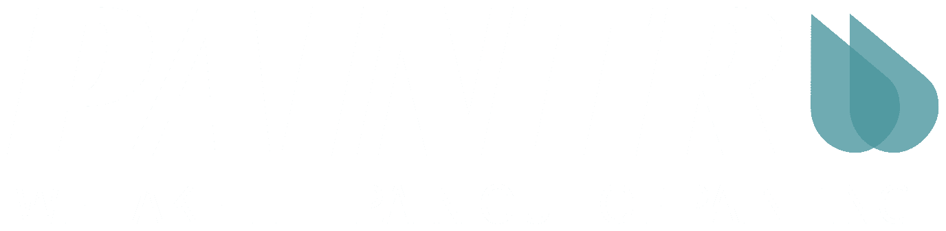 PAINTR